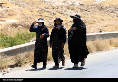 زائران رضوی در جاده امام رضا (ع)