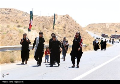 زائران رضوی در جاده امام رضا (ع)