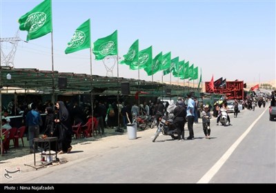 زائران رضوی در جاده امام رضا (ع)