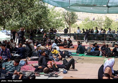 زائران رضوی در جاده امام رضا (ع) - 2