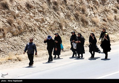 زائران رضوی در جاده امام رضا (ع) - 2