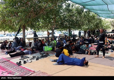زائران رضوی در جاده امام رضا (ع) - 2