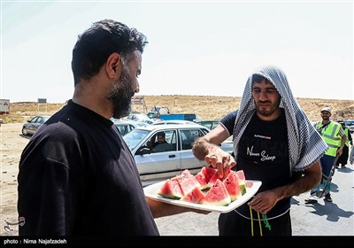 زائران رضوی در جاده امام رضا (ع) - 2