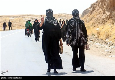 زائران رضوی در جاده امام رضا (ع) - 2