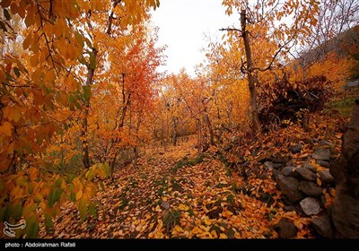 بمناسبت 1 شهریور / روز همدان