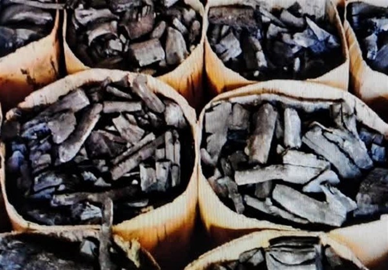 هشدار دادستان لرستان به زغال‌سازان غیرمجاز/جنگل‌های زاگرس در خط قرمز قانون