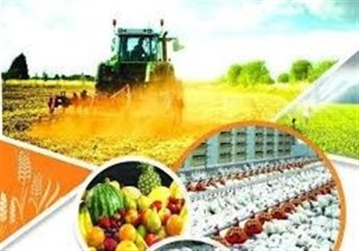 استان،اردبيل،گردشگري،كشاورزي،دولت،ريال،طرح،افتتاح،هفته،اقتصا ...