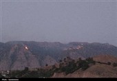 کوه شره کهگیلویه در آتش بیتوجهی میسوزد/ 20 هکتار جنگل خاکستر شد + تصاویر