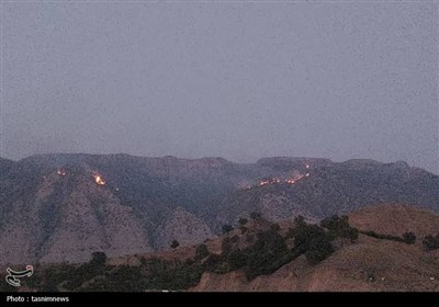 طبيعي،منابع،كهگيلويه،آتش،مهار،حادثه،اداره،نيروهاي،منطقه،حضور
