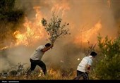 کوه شره میسوزد؛ مردم با دستان خالی، مسئولان در وعدهها+تصاویر