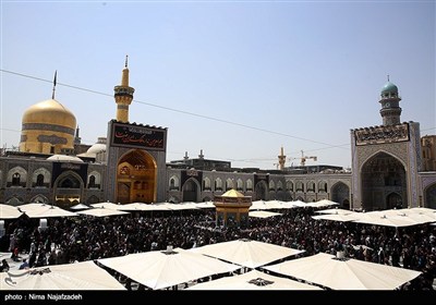 حال و هوای حرم مطهر رضوی در شب شهادت امام رضا(ع)