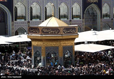 حال و هوای حرم مطهر رضوی در شب شهادت امام رضا(ع)