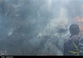 آتش در جان مراتع کهگیلویه/ 30 هکتار طعمه حریق شد +تصاویر