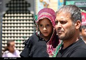 جلوه هایی از خدمت رسانی به زوار امام مهربانی ها