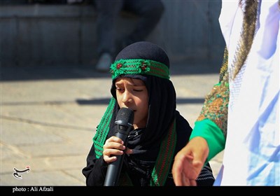 طنین شیپور تعزیه در آستان مقدس ابناء موسی بن جعفر(ع)