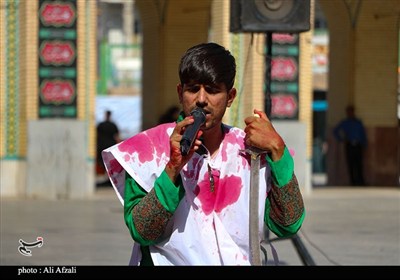طنین شیپور تعزیه در آستان مقدس ابناء موسی بن جعفر(ع)