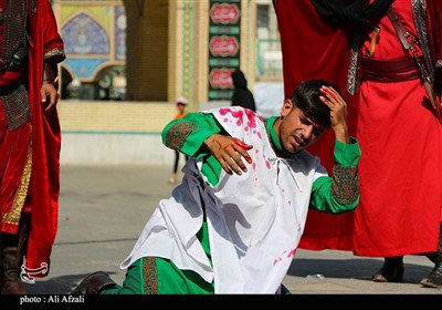 طنین شیپور تعزیه در آستان مقدس ابناء موسی بن جعفر(ع)