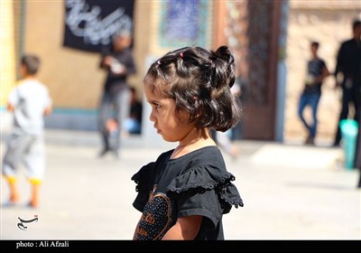 طنین شیپور تعزیه در آستان مقدس ابناء موسی بن جعفر(ع)