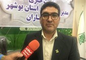 تحویل رایگان 400 پنل خورشیدی به عشایر استان بوشهر+فیلم
