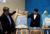 رونمایی از «یزد پایدار» و «یزد هوشمند» با حضور وزیر ارتباطات