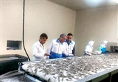 صدور بیش از 460 پروانه دامپزشکی در استان بوشهر