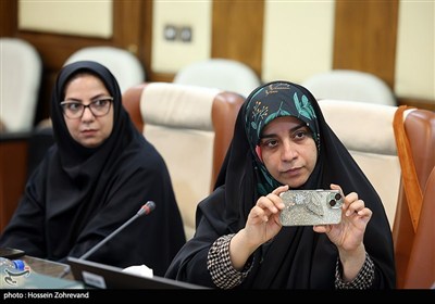 نشست خبری رئیس سازمان حج و زیارت
