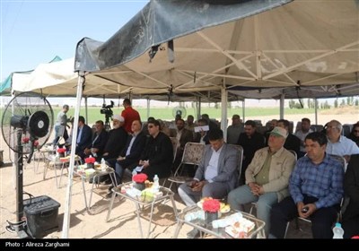 قزوين،كشاورزي،استان،معاون،امور،بازديد،بذر،استانداري،ارتقاي،ن ...