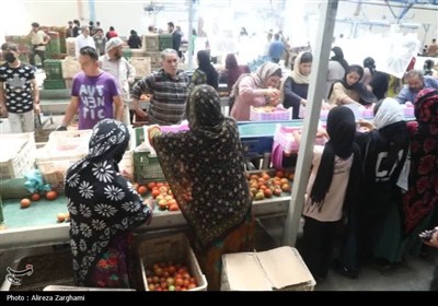 افتتاح چند طرح و پروژه همزمان با هفته دولت در قزوین