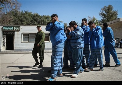 طرح دستگیری سارقان و مالخران