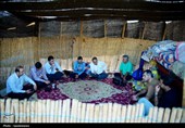 زندگی به رنگ کوچ؛ روایت نفسهای تازه در دل سیاهچادرها