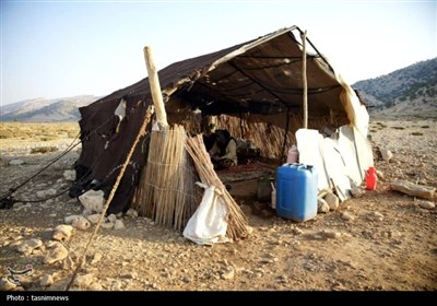 زندگی به رنگ کوچ؛ روایت نفس‌های تازه در دل سیاه‌چادرها