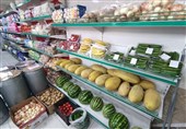 افتتاح نخستین "روستا بازار" ایلام در درهشهر