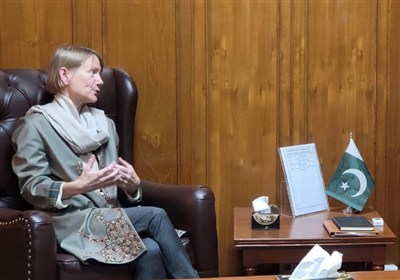 پاكستان،پناهجويان،دولت،تصميم،افغان،اخراج،ملل،حقوق،سازمان،افغ ...