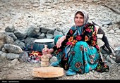 حذف سازمان امور عشایر؛ آغاز فروپاشی پنهان در زنجیره تولید ملی