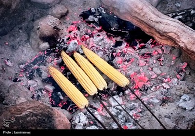 سرگچینه؛ کوچ ناخواسته از بهشت عشایر- عکس صفحه استان تسنیم