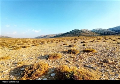 سرگچینه؛ کوچ ناخواسته از بهشت عشایر- عکس صفحه استان تسنیم