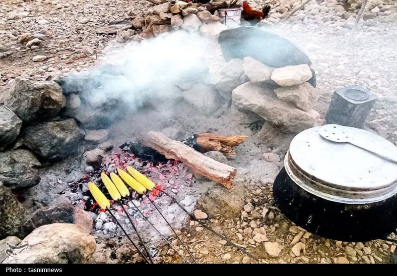 سرگچینه؛ کوچ ناخواسته از بهشت عشایر- عکس صفحه استان تسنیم