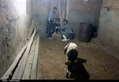 ارائه خدمات دامپزشکی رایگان در روستای کیلانه سنندج