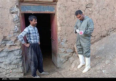 ارائه خدمات دامپزشکی رایگان در روستای کیلانه سنندج- عکس صفحه ...