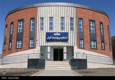 سفر وزیر ورزش به زنجان- عکس استانها تسنیم