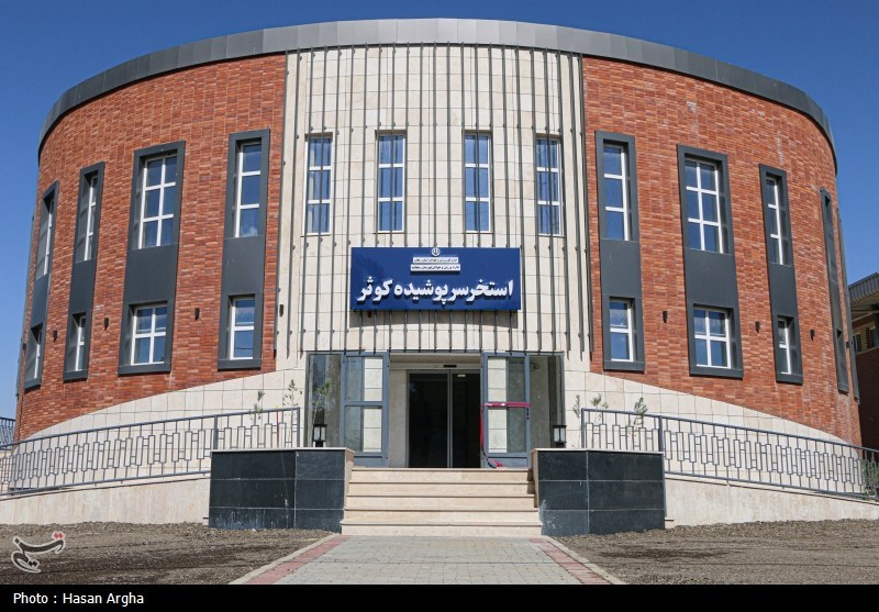 سفر وزیر ورزش به زنجان- عکس استانها تسنیم