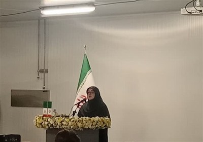 همراهي،اقتصادي،دولت،قرار،كشور،چهاردهم،خصوصي،حمايت،مهاجراني،آ ...