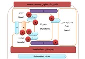 فاکتورینگ معکوس؛ ابزاری برای مقابله با چالش‌های اعتباری در زنجیره تأمین ایران