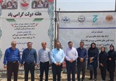 اقتصاد دریا‌پایه در اولویت برنامه‌های فرمانداری بوشهر قرار گرفت