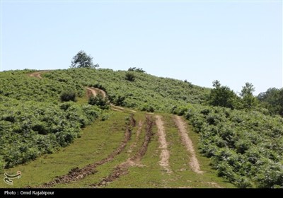 ییلاق &quot;جواهردشت&quot; عروس طبیعت رودسر