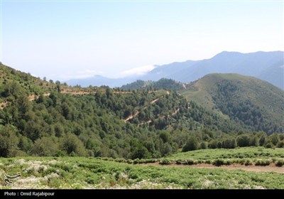ییلاق &quot;جواهردشت&quot; عروس طبیعت رودسر