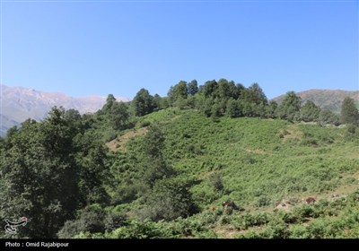 ییلاق &quot;جواهردشت&quot; عروس طبیعت رودسر