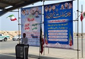 ظرفیت پرورش ماهی در سواحل استان بوشهر از 16 هزار تن عبور می‌کند