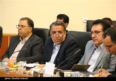 شورای فرهنگ عمومی استان کرمان با حضور وزیر فرهنگ و ارشاد