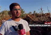 الاحتلال یقتلع 3000 شجرة زیتون من بلدة المغیر لطمس تاریخها ومحو هویتها